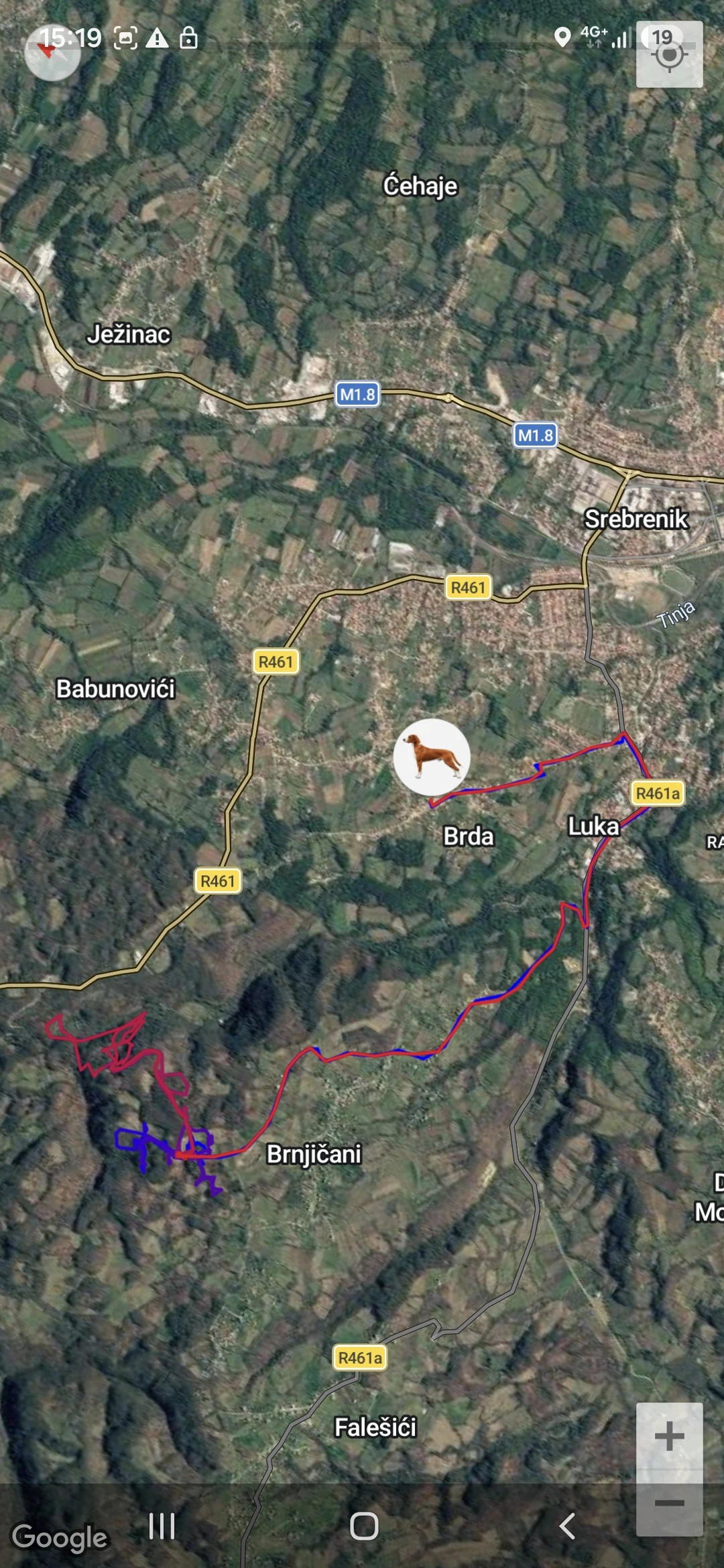 GPS Dogs Tracking System screenshot